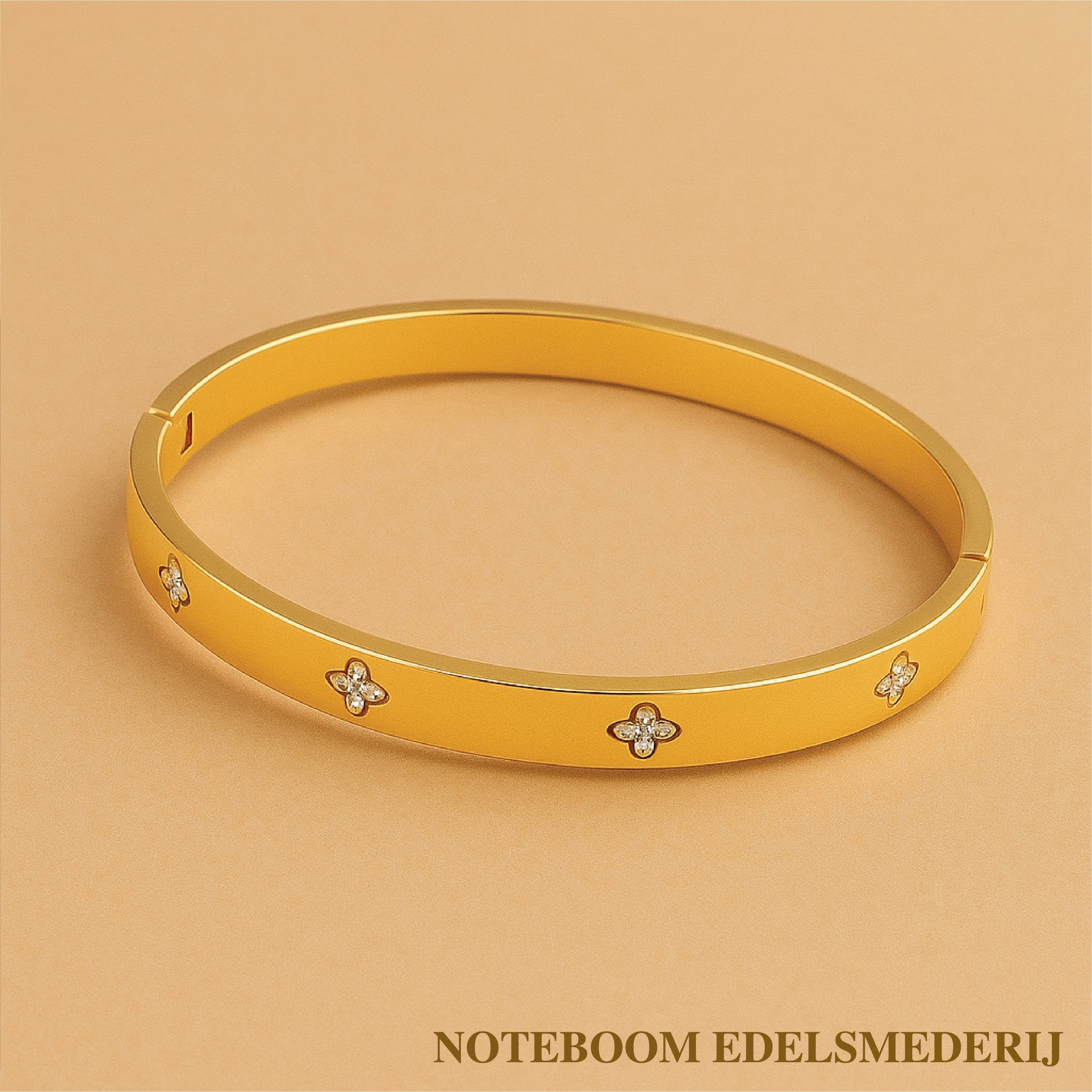 Giannina Ruzzini | Tijdloos 16k Gouden Design