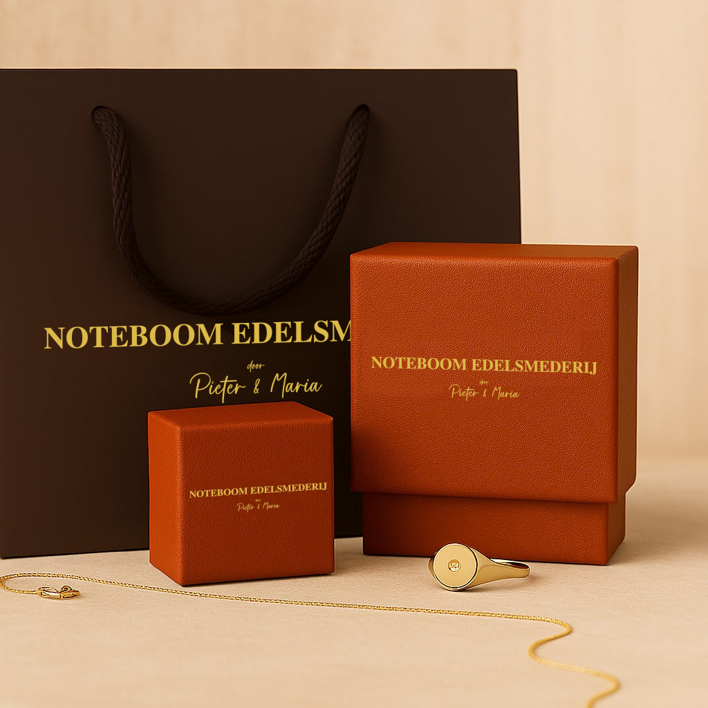 Tera | Gedurfde Statement Oorbellen in 18k Goud