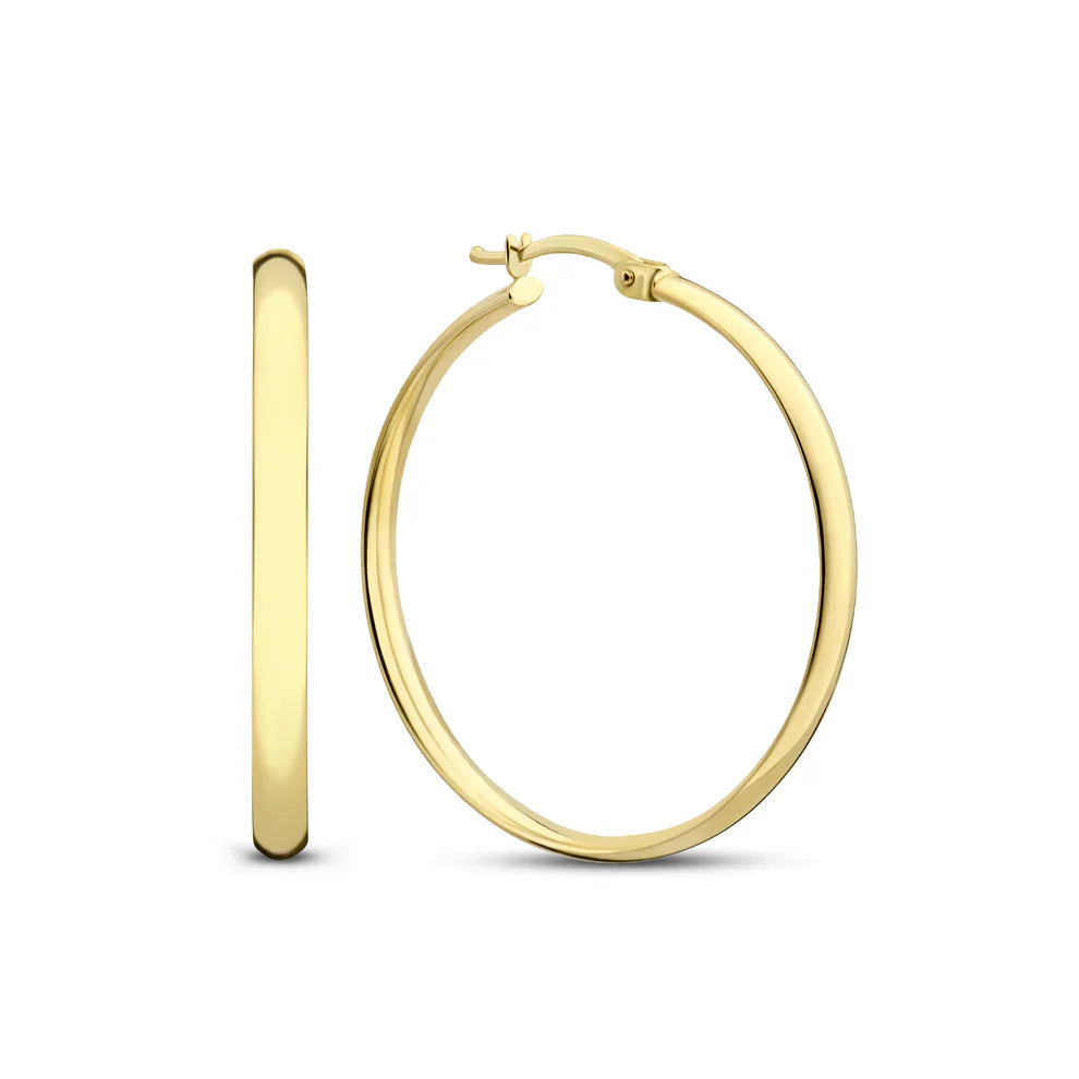 Noa Serane Oorbellen | 14k Goud